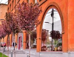 Hotel Metropol
