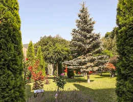 Best Resort Aghveran