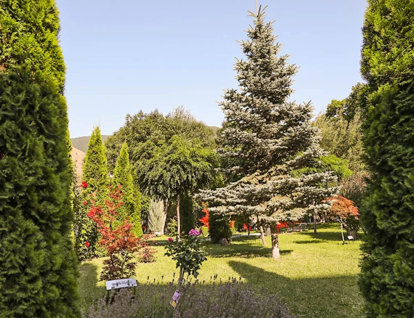 Best Resort Aghweran