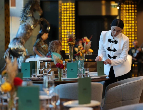 Hôtel Seven Visions, The Dvin