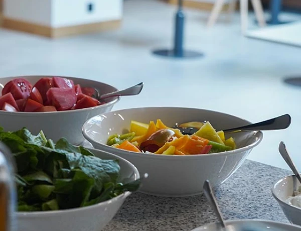 Radisson Hôtel and Spa