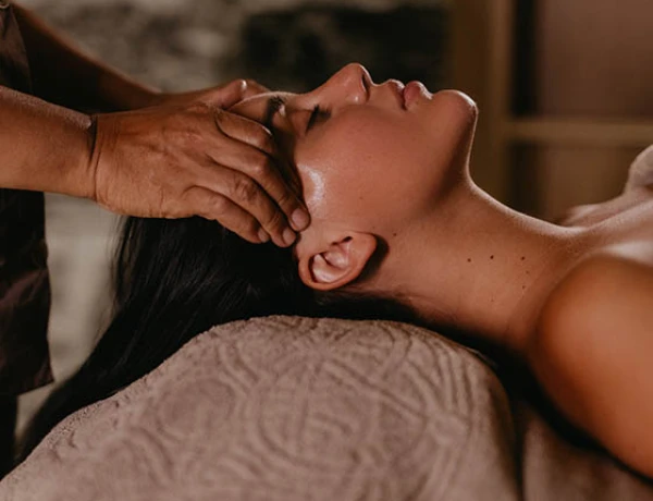 Radisson Hôtel and Spa