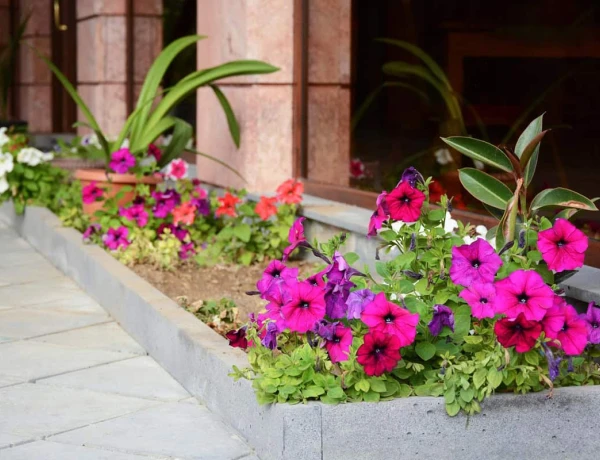 Отель Кефилян