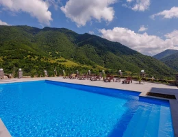 Dream hotel