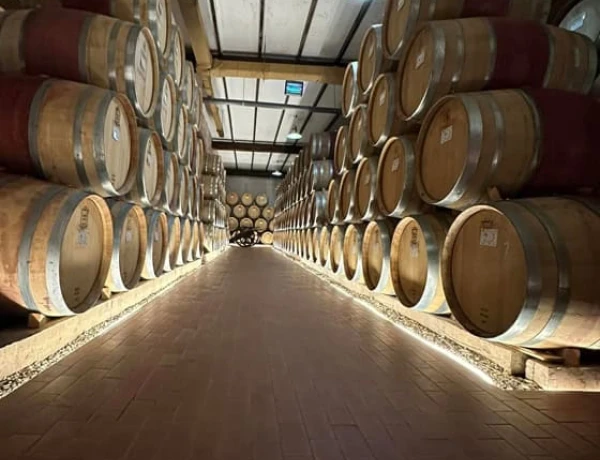 Berkri Gastro Yard and Guesthouse