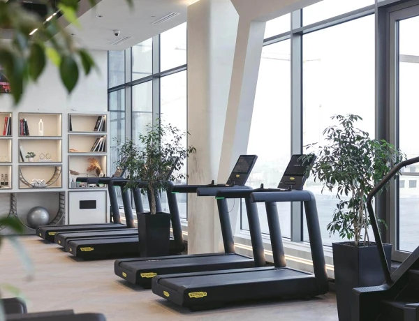 Hôtel Seven Visions, The Dvin