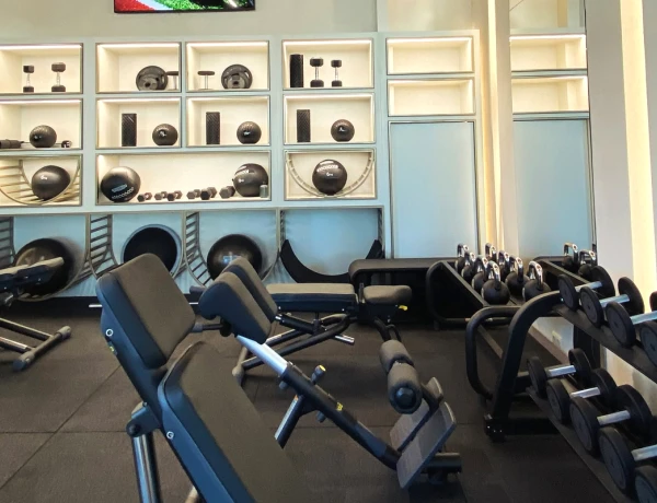 Hôtel Seven Visions, The Dvin