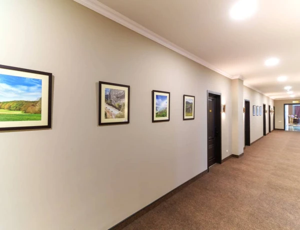 Վալլեքս Գարդեն