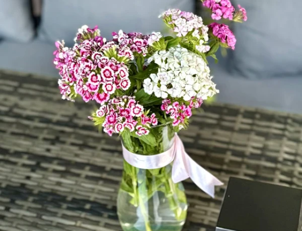 Отель АрМар