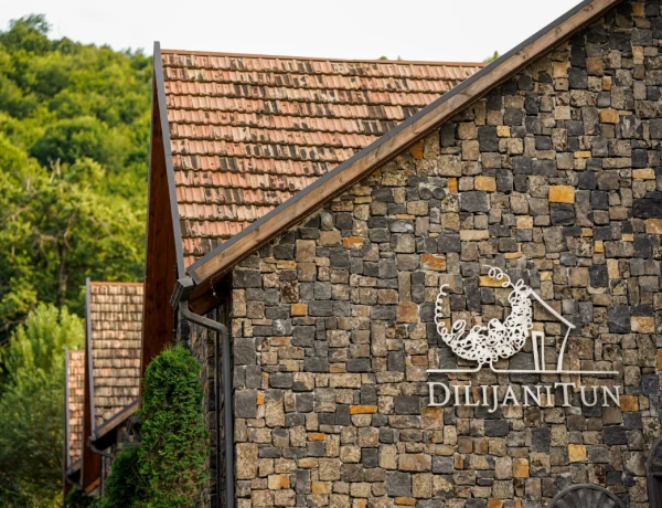 Դիլիջանի Տուն հյուրանոց