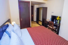 Hotel Ani Central Inn