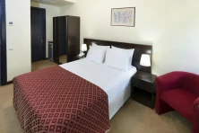 Hotel Ani Central Inn