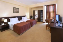 Hotel Ani Central Inn