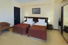 Hotel Ani Central Inn