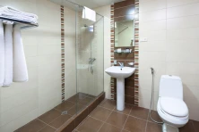 Hotel Ani Central Inn