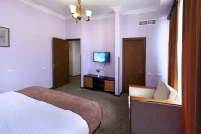 Hotel Ani Central Inn
