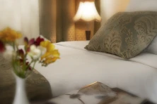 Hotel Ani Plaza