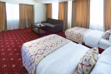 Hotel Ani Plaza