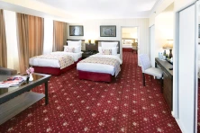 Hotel Ani Plaza