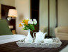 Hotel Vallex Garden