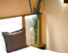 Elegant Hotel and Resort