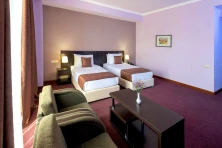 Hotel Ani Central Inn