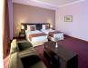 Hotel Ani Central Inn