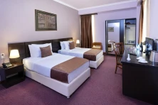 Hotel Ani Central Inn