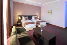 Hotel Ani Central Inn