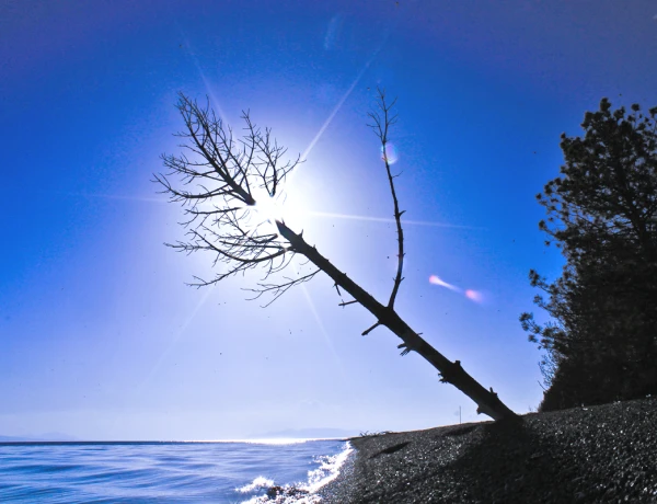 Озеро Севан, Монастырь Севанаванк