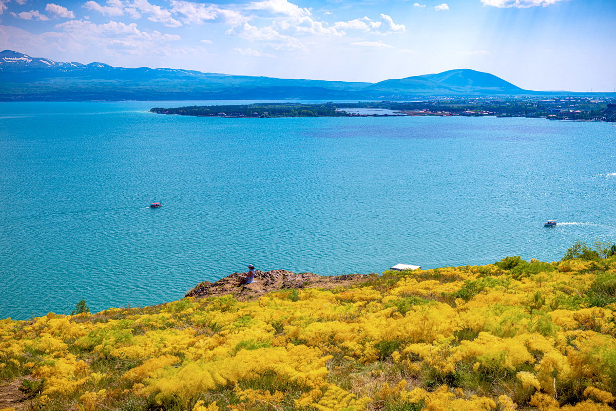Озеро Севан. Озера Севан и облепиха. Птицы озера Севан. Озера Севан каждый год. Температура озера севан