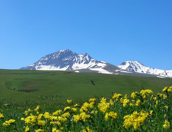 Հայոց այբուբենի հուշարձան, Ամբերդի ամրոց, Արագած լեռ, Քարի լիճ