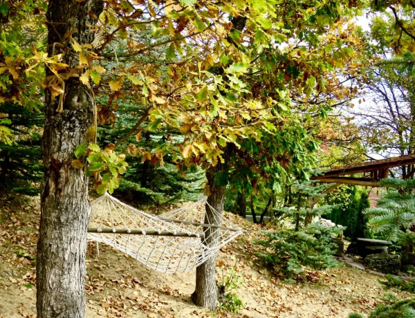 Zaghkadsor, Kloster Ketscharis, Zaghkadsor-Seilbahn, Sewansee, Kloster Sewanawank