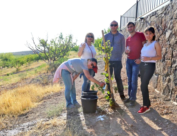 Saghmosavank Monastery, Armenian Alphabet Alley, Armenia Wine factory, ArmAs wine factory