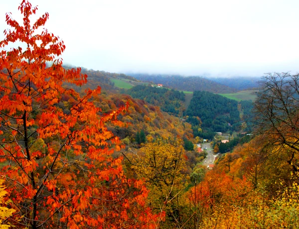 Lake Sevan, Dilijan, Haghartsin, Tolma making master class, Ijevan wine-brandy factory
