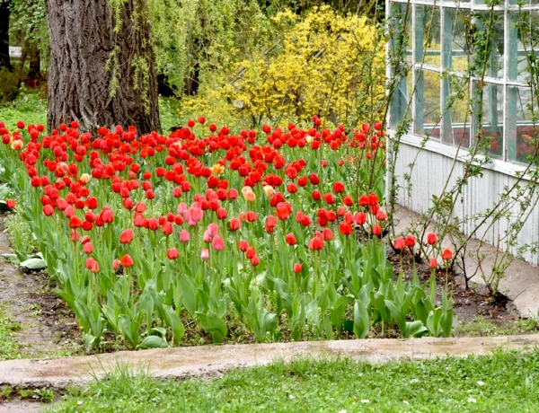 Avventure naturali in Armenia in 2 giorni con rafting sul fiume Debed