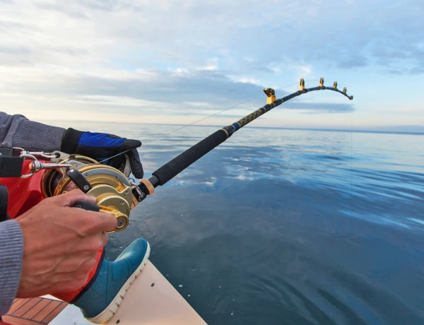 Озеро Севан, Монастырь Севанаванк, Рыбалка на озере Севан, прогулка на берегу