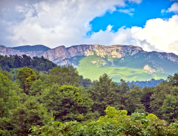 Դիլիջան, Հաղարծնի վանք, Գոշավանք