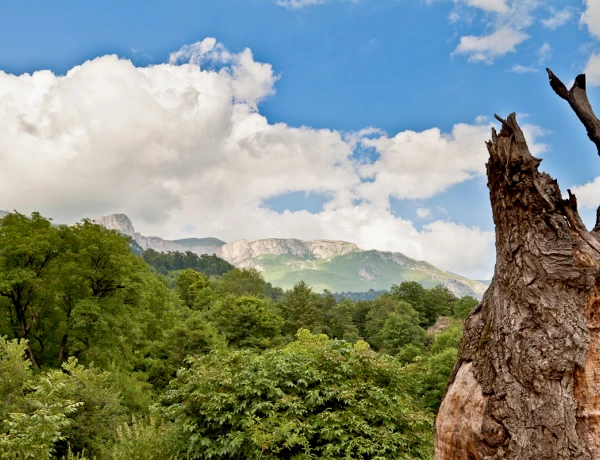 Դիլիջան, Հաղարծնի վանք, Գոշավանք