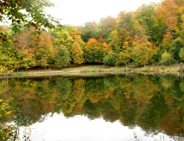 Dilidjan, Monastère Haghartsine, Monastère Gochavank, Lac Parz