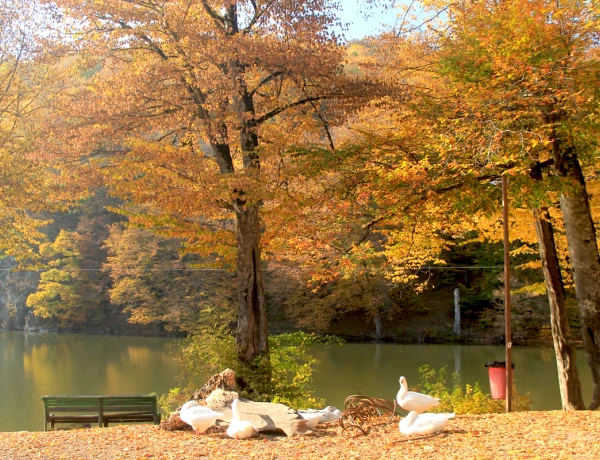 Dilijan, Haghartsin Monastery, Goshavank Monastery, Lake Parz (Crystal)