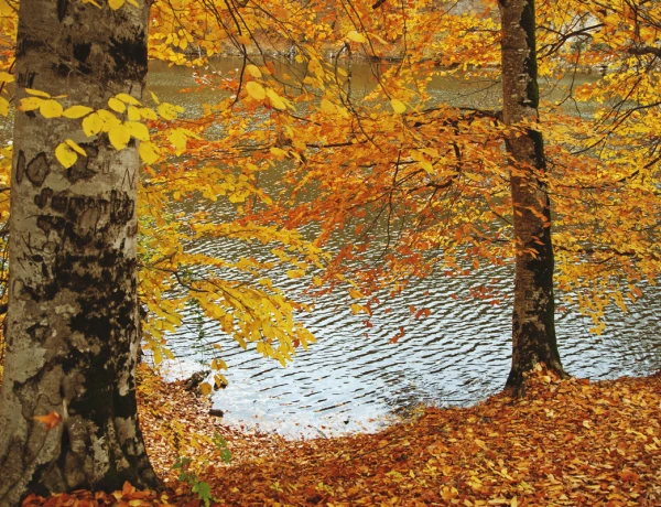Lake Sevan, Sevanavank, Dilijan, Haghartsin, Goshavank, Lake Parz (Crystal)