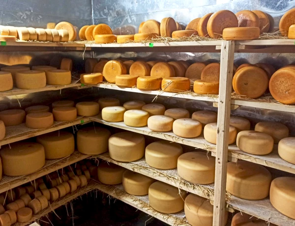 Озеро Севан, Норатус, Семейная ферма Микаелян, Монастырь Севанаванк