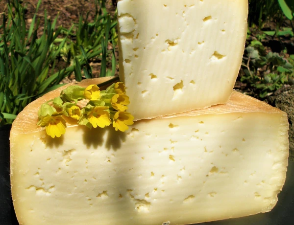 Озеро Севан, Норатус, Семейная ферма Микаелян, Монастырь Севанаванк