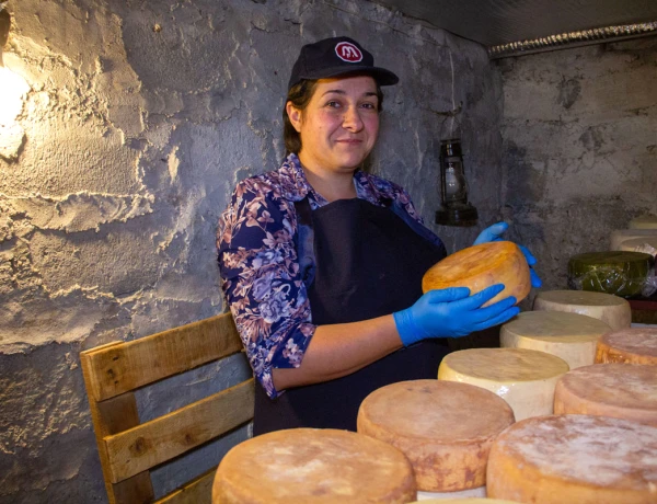 Озеро Севан, Норатус, Семейная ферма Микаелян, Монастырь Севанаванк