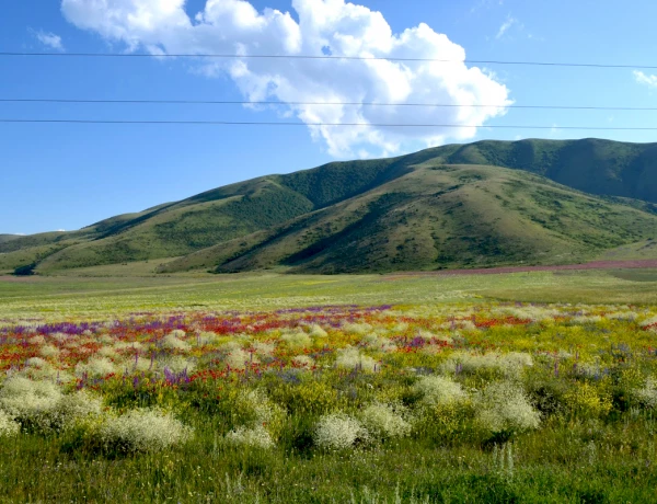 Արշավ դեպի Արտանիշ լեռ