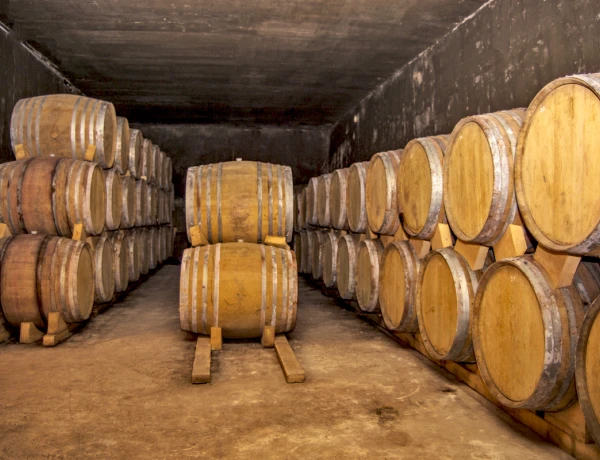 Fabbrica di vino Hin Areni, Cascata Sciaqi, Monastero Tatev, Funivia, Osservatorio Qarahunj