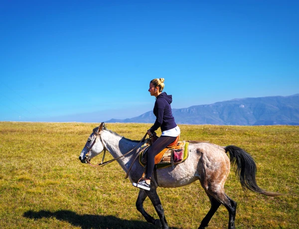 Kloster Makarawank, Berkri Genussgarten, Jell Extreme Park