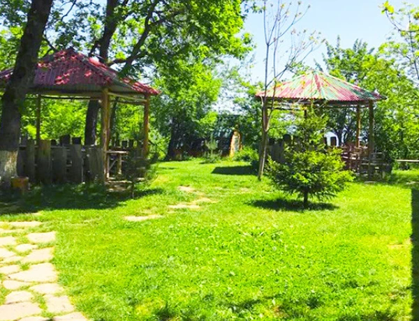 Հարսնաձոր