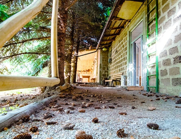 Дом Абелянов